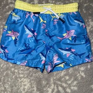 Shark Adventure Swim Shorts for Kids
